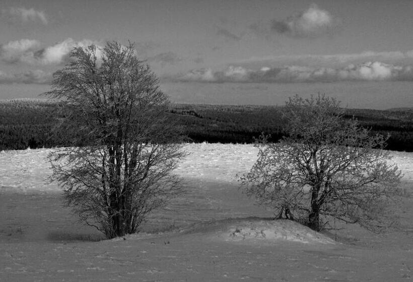 リゾートホテル Ośrodek Pegaz