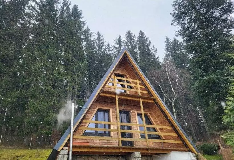 Lomakeskus O.w.s. Strzecha