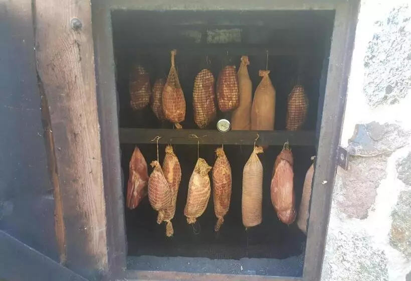 Retkeilymaja Ik Wulpink Majdy Olsztyn