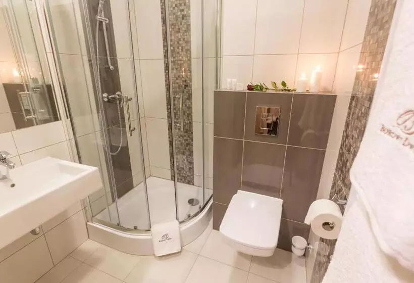 Aamiaismajoitus (B&B) Borowy Dwór  Biznes, Spa & Fun