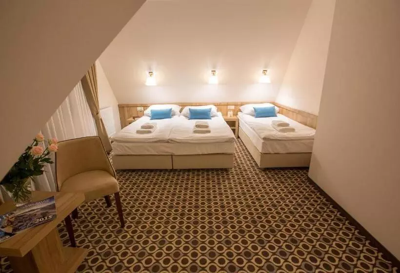 Aamiaismajoitus (B&B) Borowy Dwór  Biznes, Spa & Fun