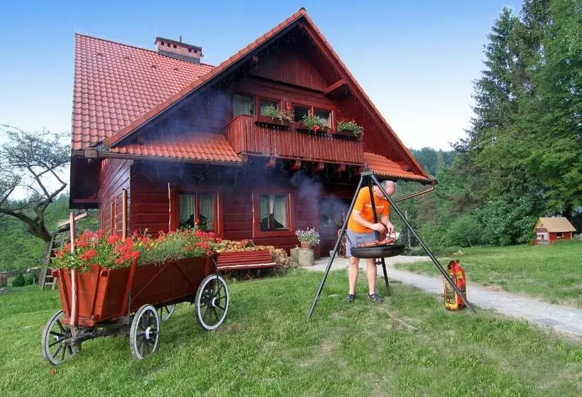 ベッドアンドブレックファースト Chata Góralska Aggeusz