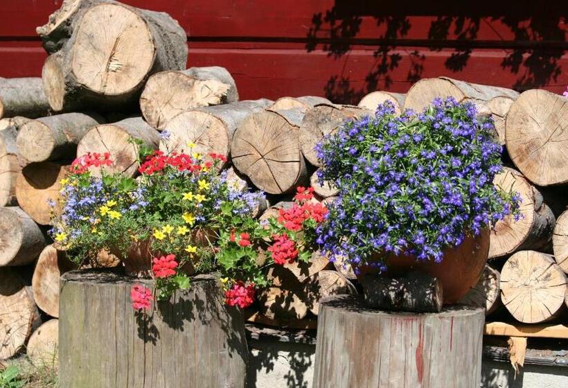 Bed and Breakfast Chata Góralska Aggeusz