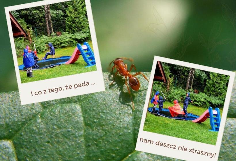 Bed and Breakfast Chata Góralska Aggeusz