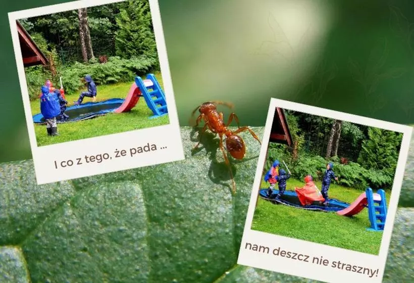 ベッドアンドブレックファースト Chata Góralska Aggeusz
