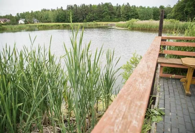 Aamiaismajoitus (B&B) Gościniec Czapla