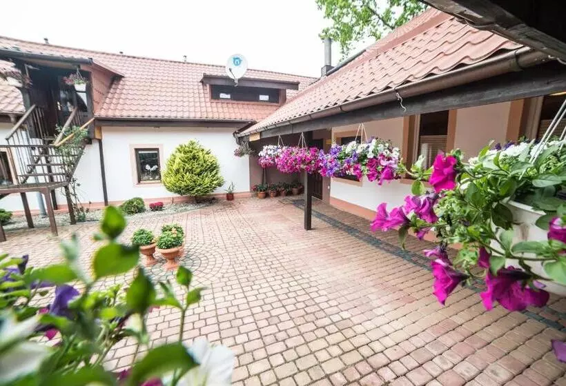 Aamiaismajoitus (B&B) Gościniec Czapla