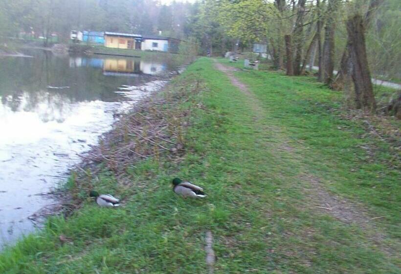 Bed and Breakfast Gosciniec Wenecja