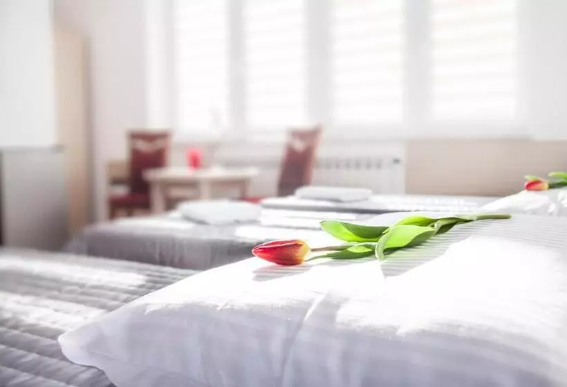 Aamiaismajoitus (B&B) Noclegi Sebastian W Centrum