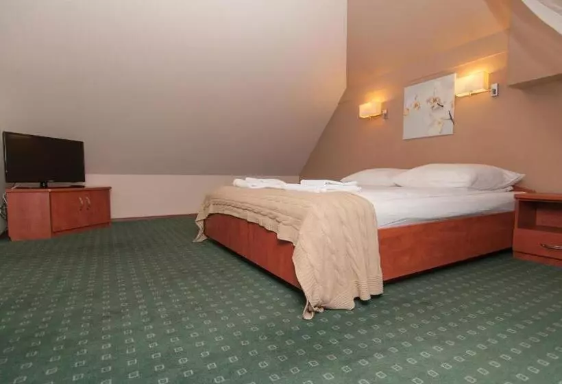 Aamiaismajoitus (B&B) Willa Pory Roku