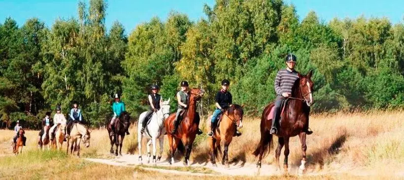 ホテル Stajnia Wolica