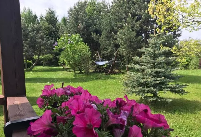 ホテル świerkowe Wzgórze