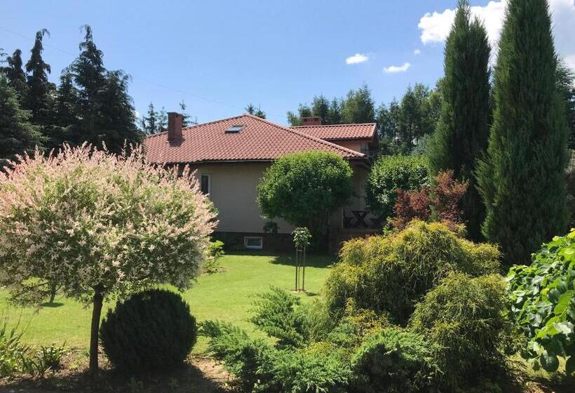 호텔 świerkowe Wzgórze