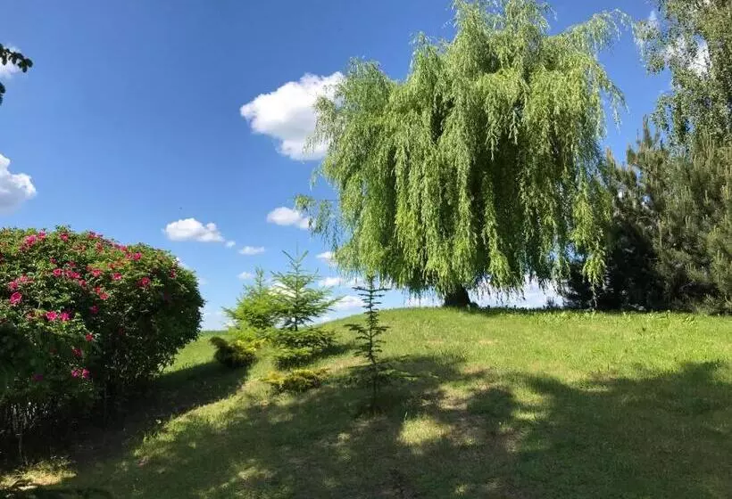 ホテル świerkowe Wzgórze