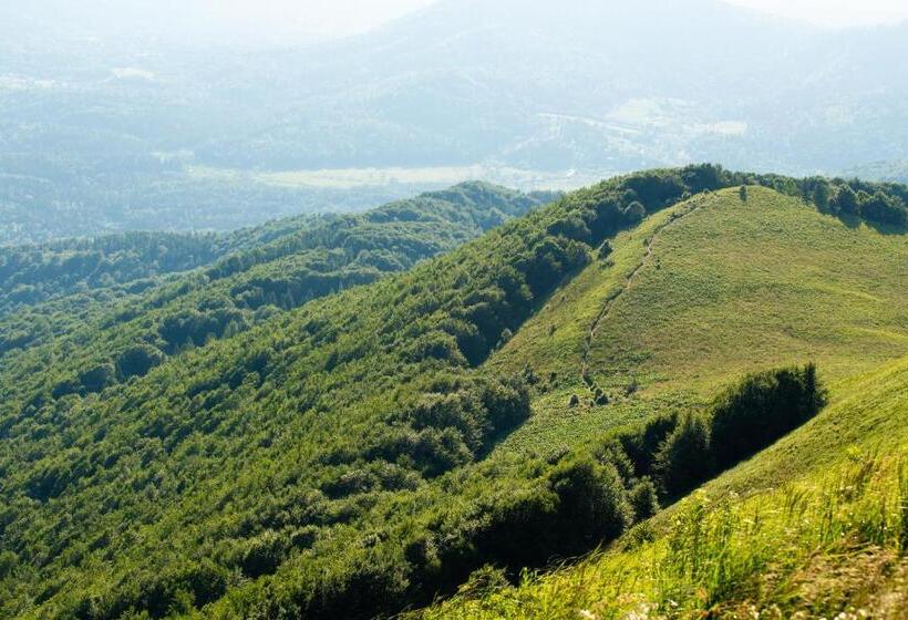 بنسيون Bojkowa Chata