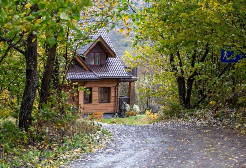 بنسيون Bojkowa Chata