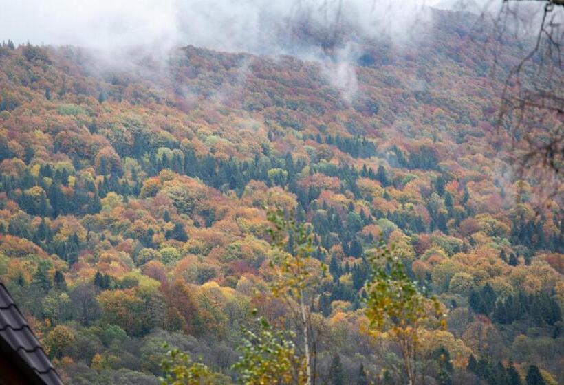 بنسيون Bojkowa Chata