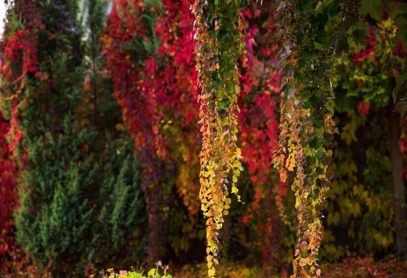 펜션 Ostoja Wigierski