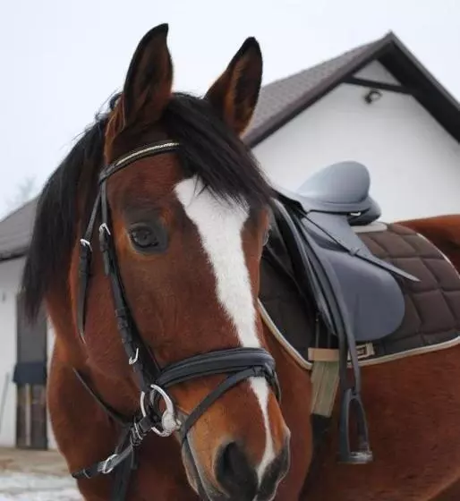 ペンション Pyszna Stajenka