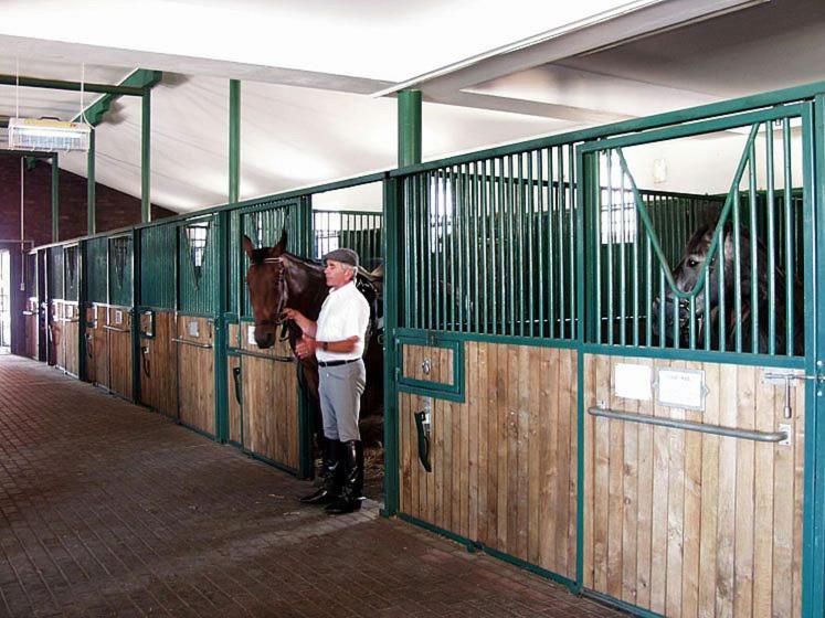 Pensjonat I Klub Jeździecki Michelin