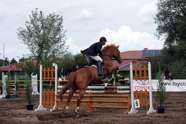 Pensjonat I Klub Jeździecki Michelin