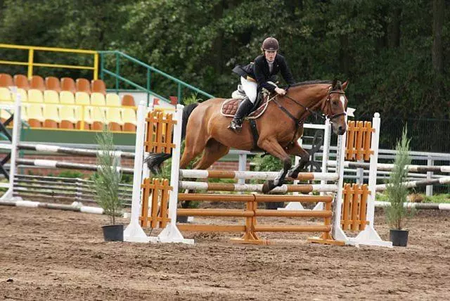 Pensjonat I Klub Jeździecki Michelin