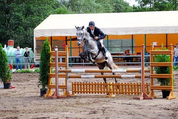 Pensjonat I Klub Jeździecki Michelin