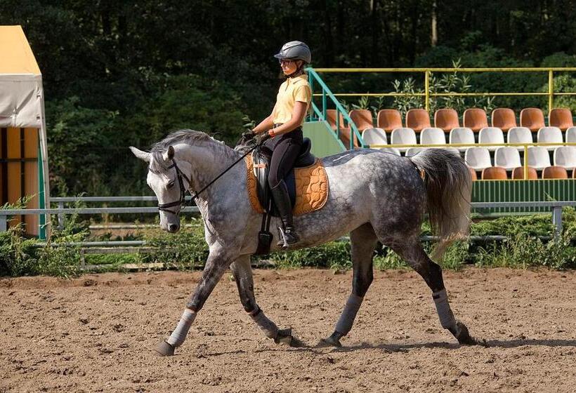 Pensjonat I Klub Jeździecki Michelin