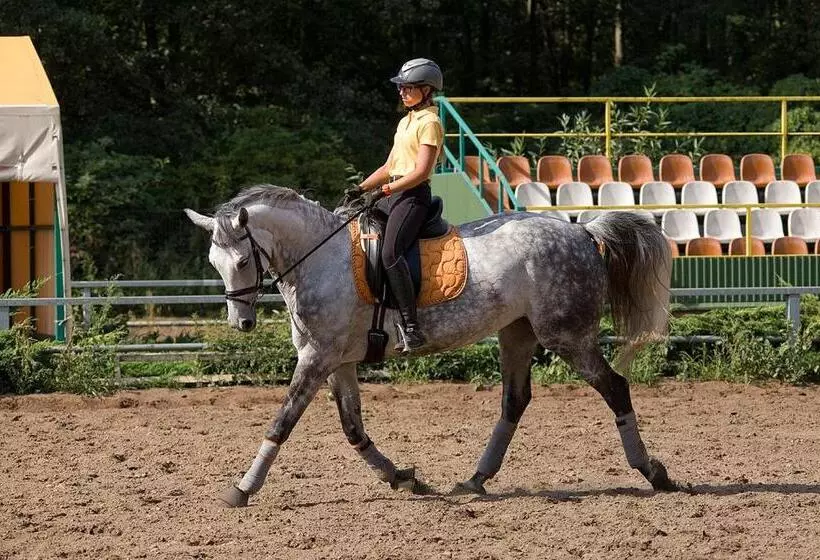 Pensjonat I Klub Jeździecki Michelin