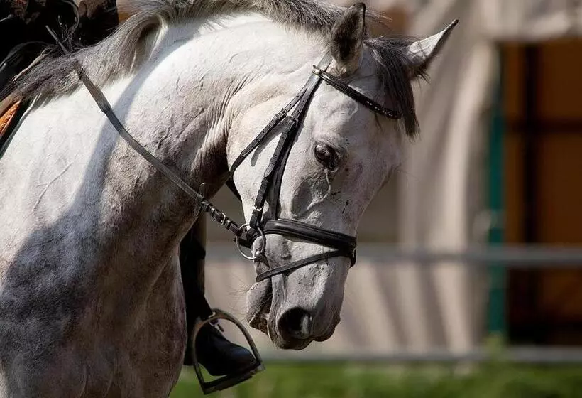 Pensjonat I Klub Jeździecki Michelin