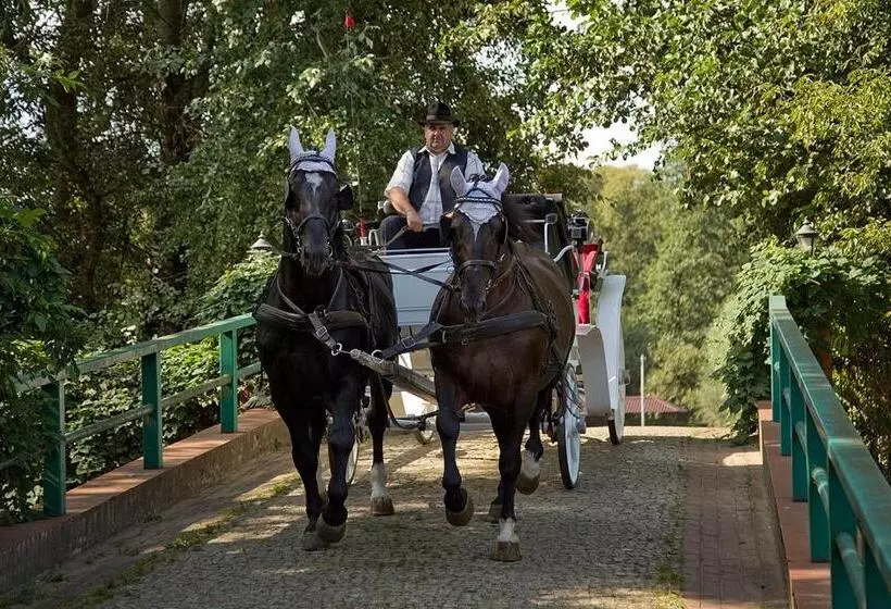 Pensjonat I Klub Jeździecki Michelin