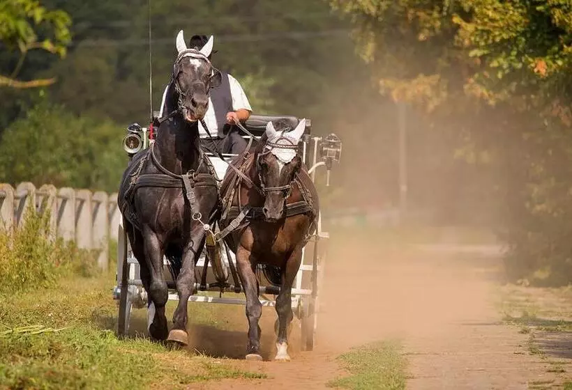 Pensjonat I Klub Jeździecki Michelin