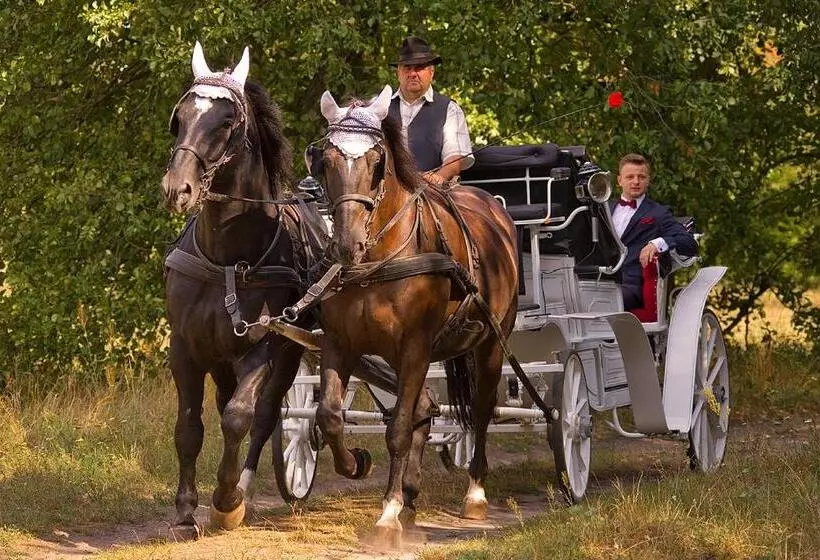 Pensjonat I Klub Jeździecki Michelin