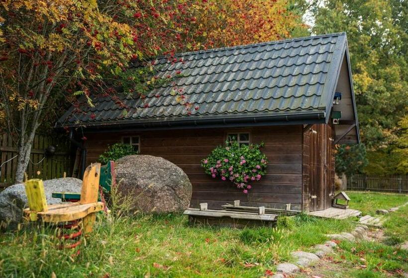 펜션 Ostoja Wigierski