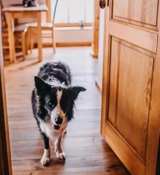 Aamiaismajoitus (B&B) Villa Hubertus