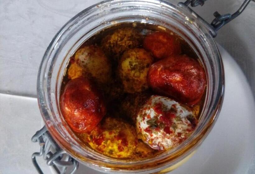 Bed and Breakfast Villa Navigator