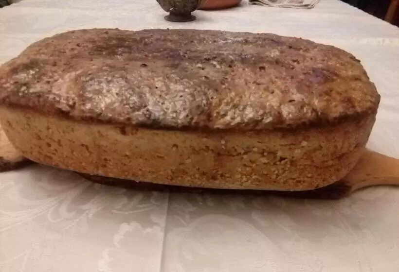 Aamiaismajoitus (B&B) Villa Navigator