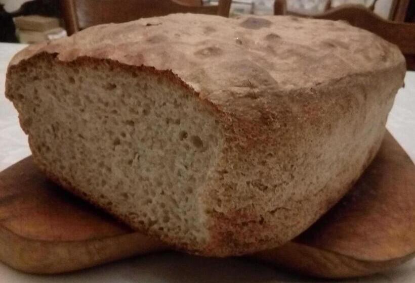 Bed and Breakfast Villa Navigator