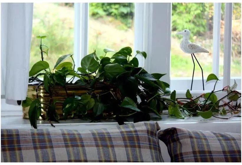 تختخواب و صبحانه Willa Ludwinia