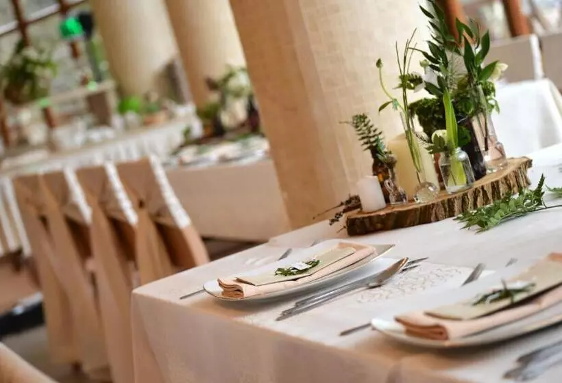 هتل Europa   Górnicza Strzecha