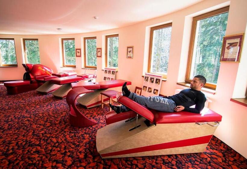 בית מלון כפרי Europa Górnicza Strzecha