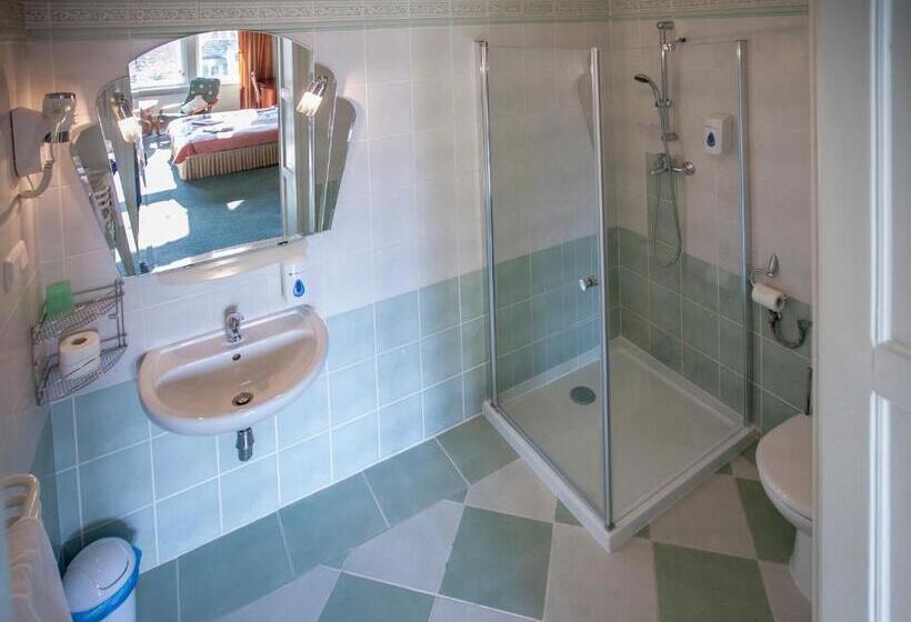 בית מלון כפרי Stary Malbork