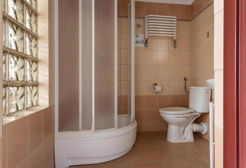 בית מלון כפרי Zamek