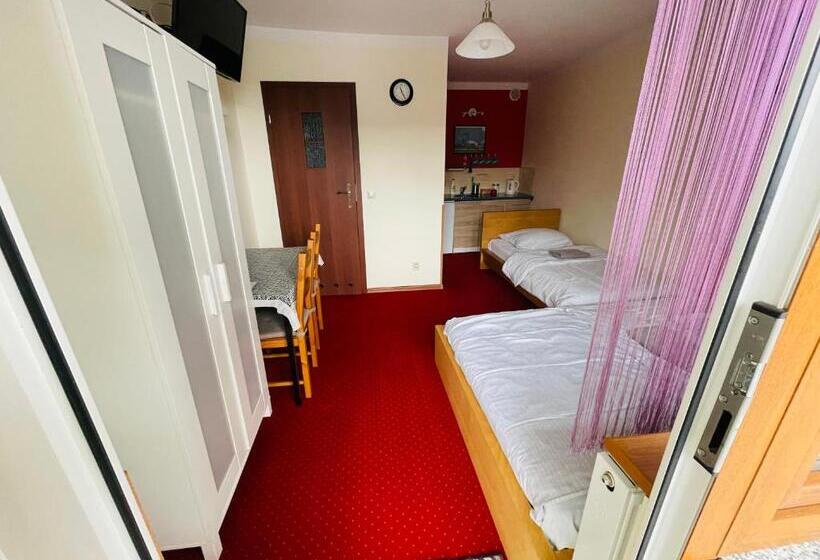 ペンション Noclegi Airportpark