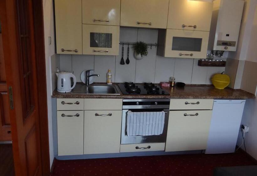 ペンション Noclegi Airportpark