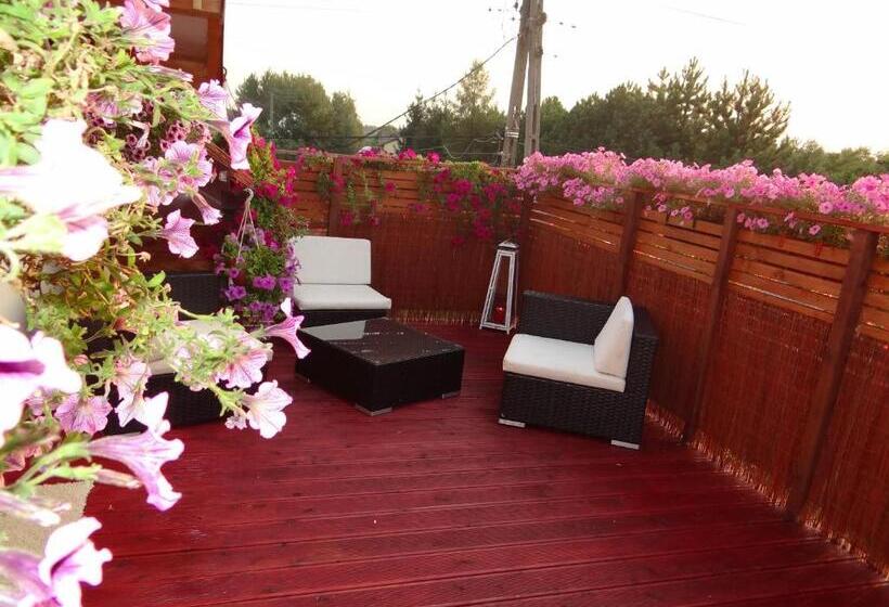 ペンション Noclegi Airportpark