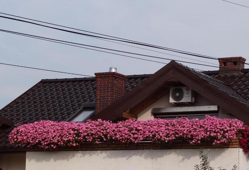 ペンション Noclegi Airportpark