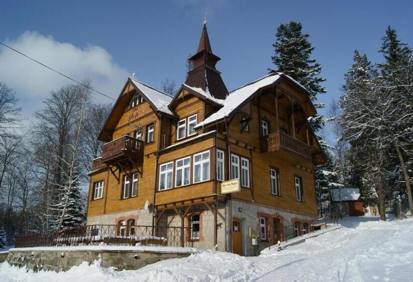 פנסיון Willa Nimfa   Pokoje I Apartamenty W Centrum