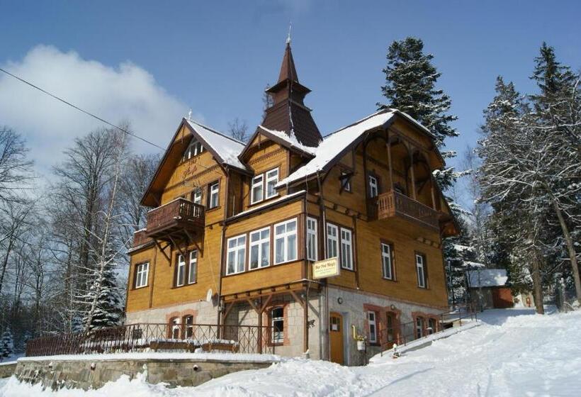 פנסיון Willa Nimfa   Pokoje I Apartamenty W Centrum