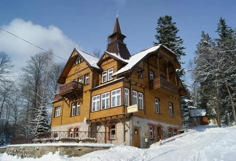 ペンション Willa Nimfa   Pokoje I Apartamenty W Centrum